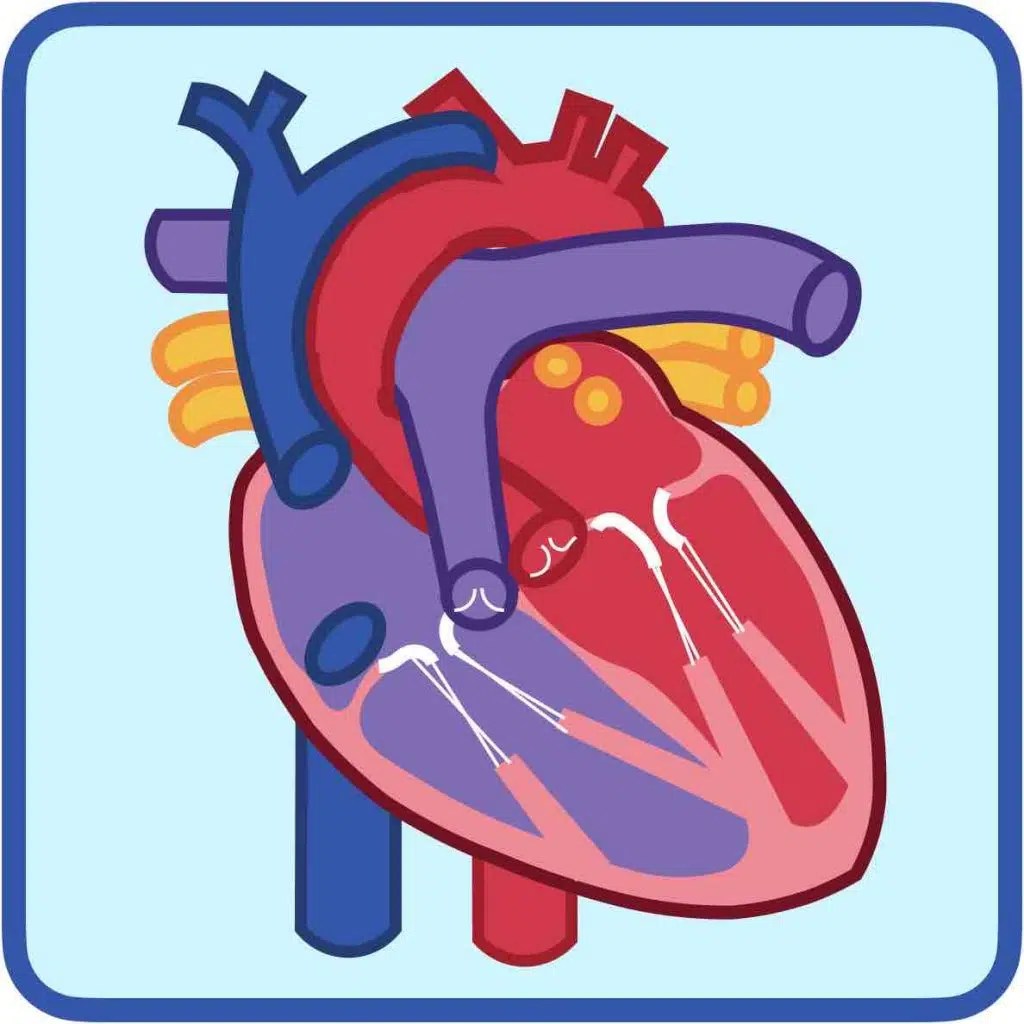 DC Setup and Takedown Provider Practice Essentials