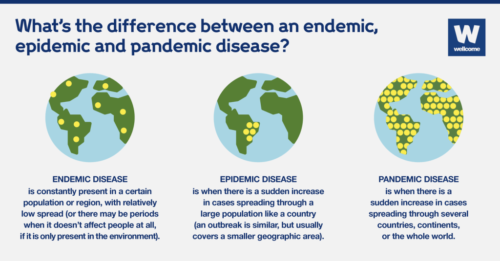When a Pandemic Endemic