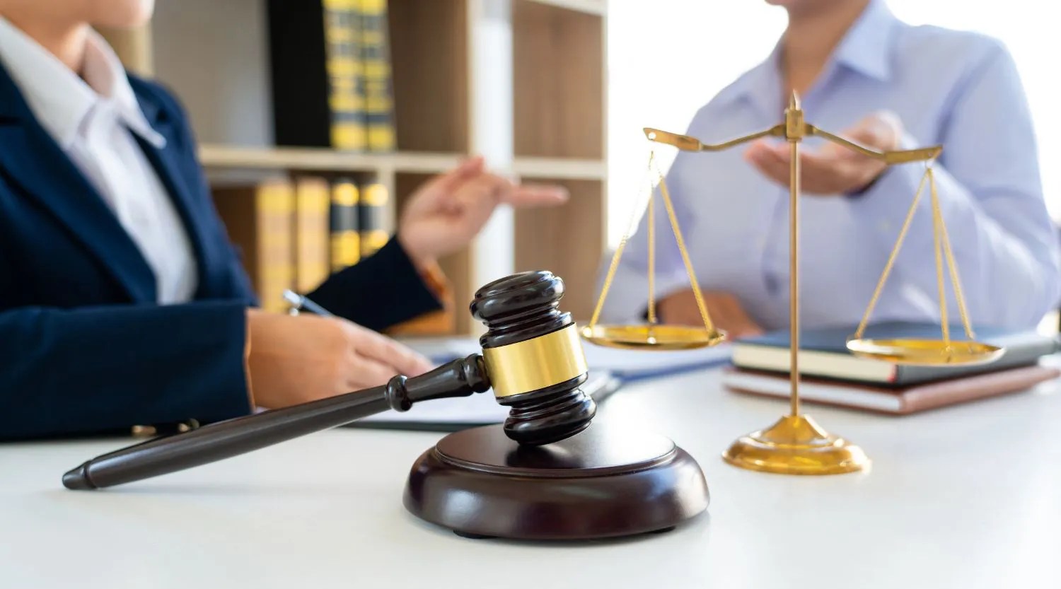 Legal Consultation PPIS