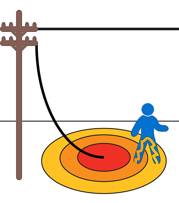 Downed Power Line Hazards PPL First Responder Utility Training