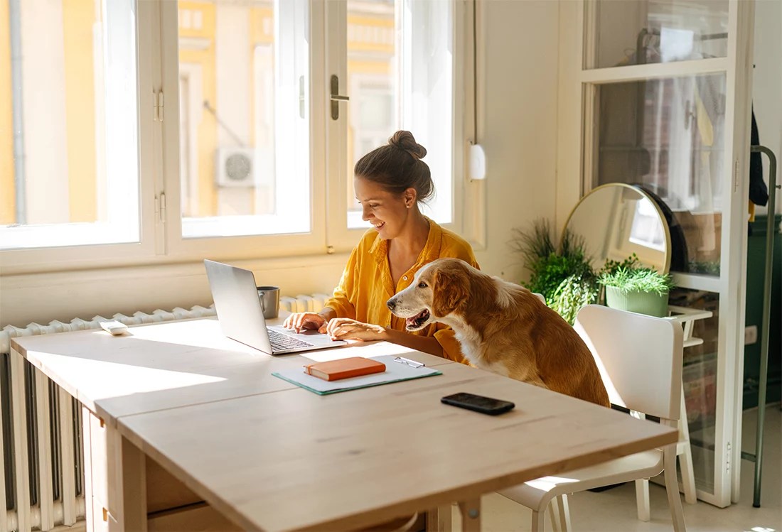 Guide to Finding a PetFriendly Apartment in Chicago