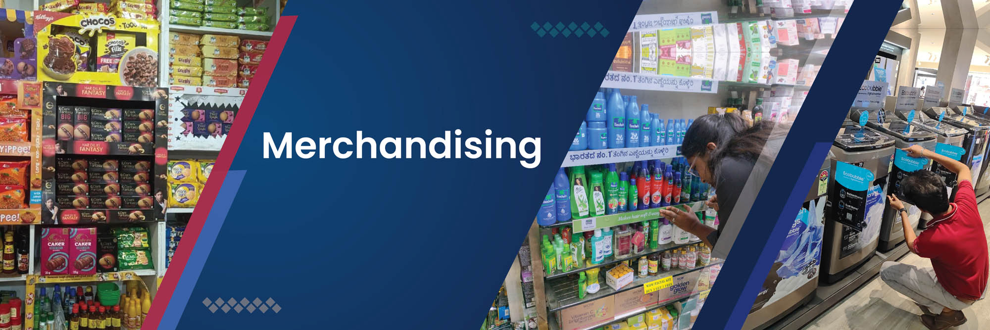 Retail Merchandising Service Company India Merchandising Solutions PPMS