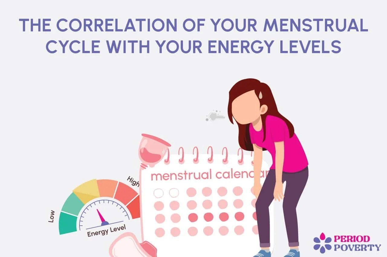 Correlation Menstrual Cycle Energy Levels Phase Ppoverty
