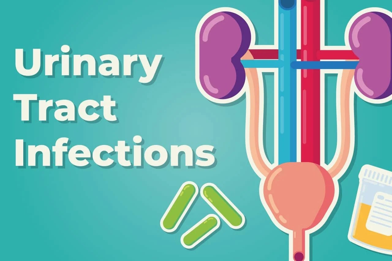 Beer Help Urinary Tract at Charles Athey blog