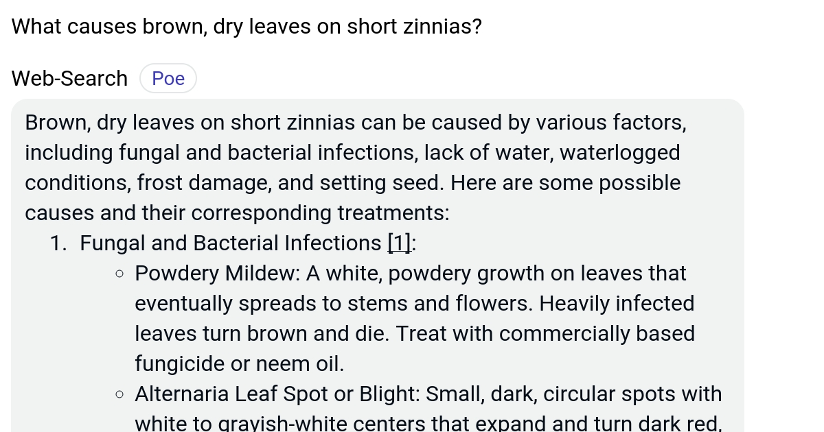 What causes brown, dry leaves on short zinnias? Poe