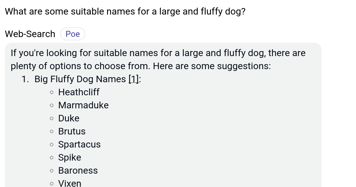 What are some suitable names for a large and fluffy dog? Poe
