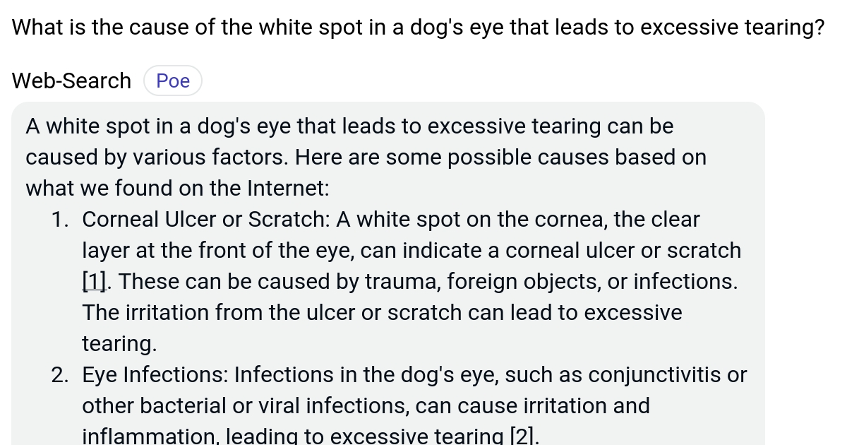What is the cause of the white spot in a dog's eye that leads to