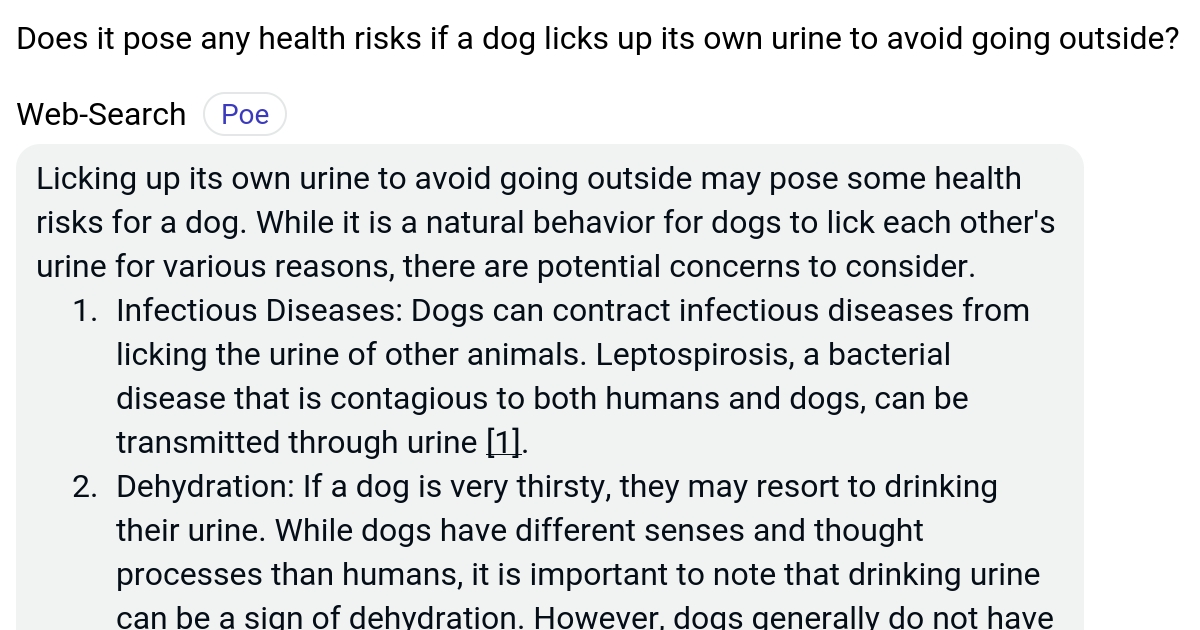 Does it pose any health risks if a dog licks up its own urine to avoid