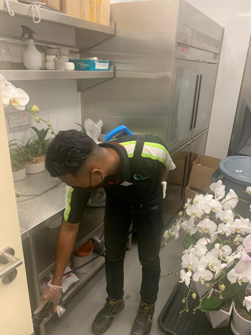 Pest Control And Disinfection Services Kajang Perfection Pest
