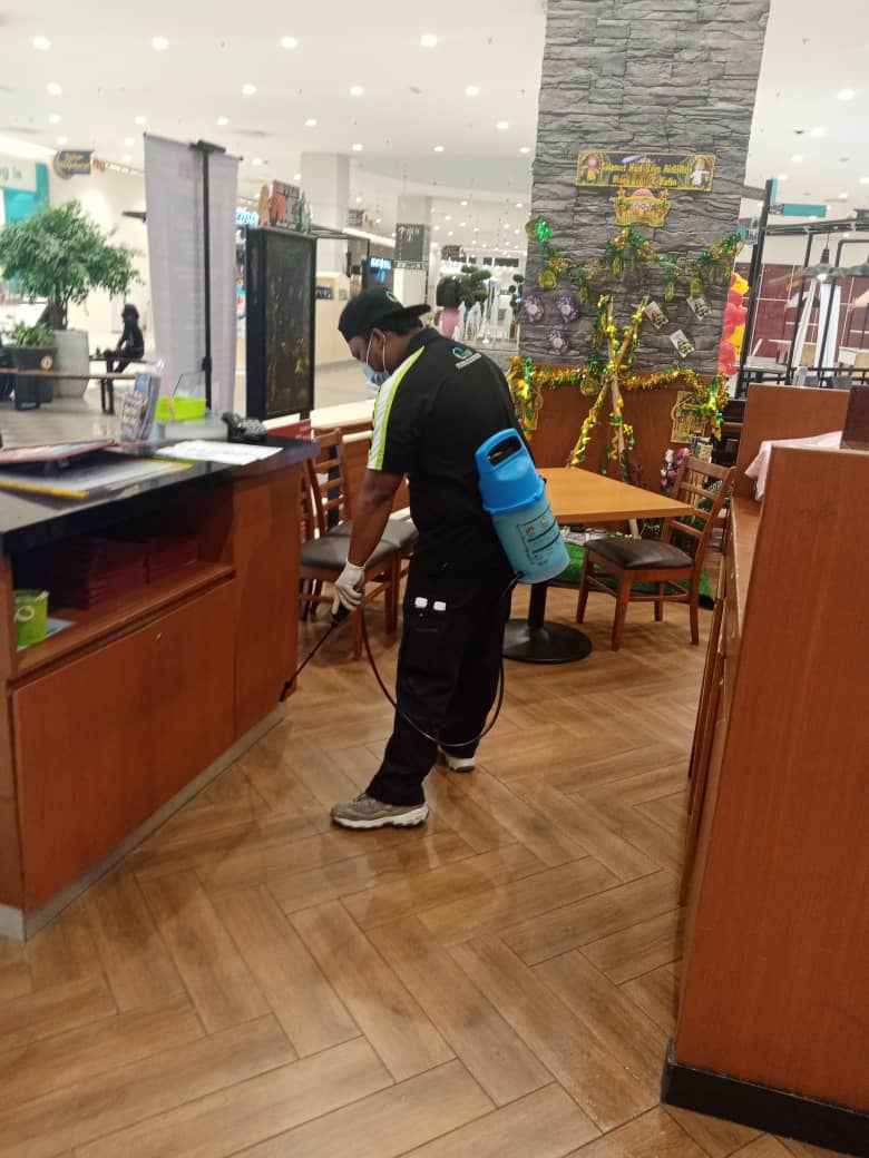 Pest Control And Termite Control Services Skudai Perfection Pest