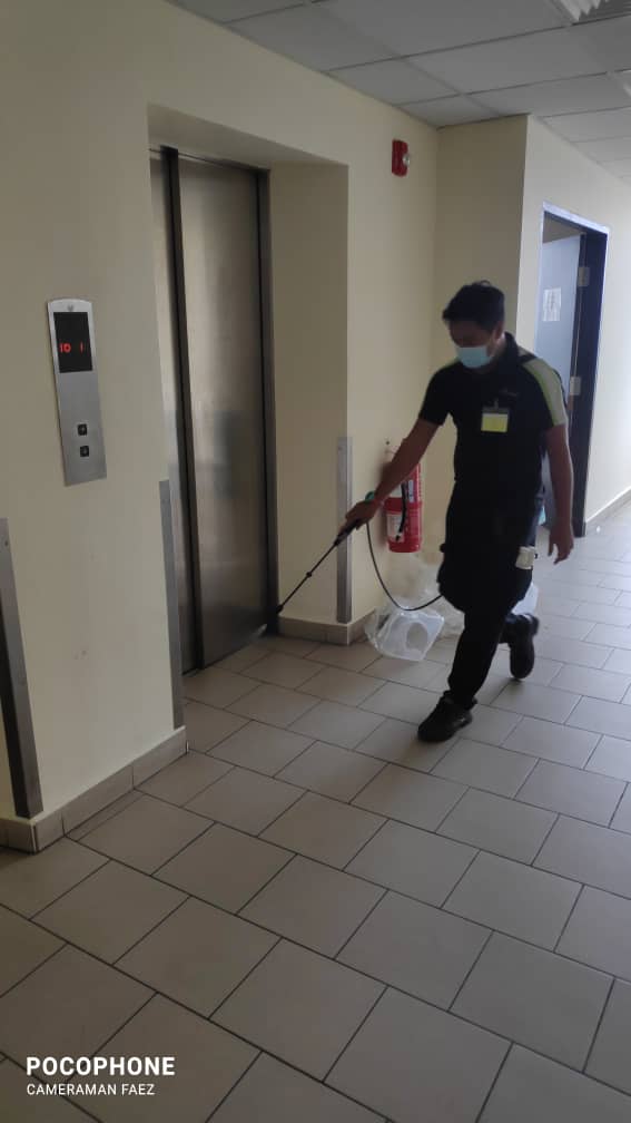 Pest Control And Termite Control Services Johor Bahru Perfection Pest Management Sdn. Bhd.