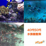 1657108 thum 1 - 12/24㈯　13:10～ 38～55歳　しながわ水族館散策