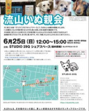 1660423 thum 1 - 6月25日　ちばわん『流山いぬ親会』開催のご案内