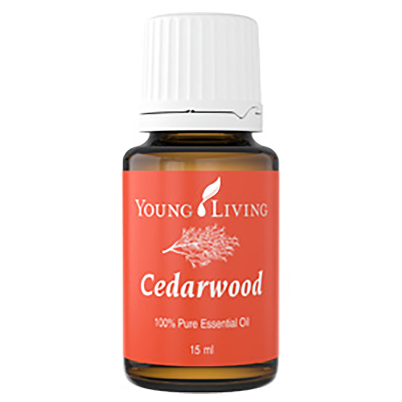 How to take care of hair? Products with natural vegetable oils