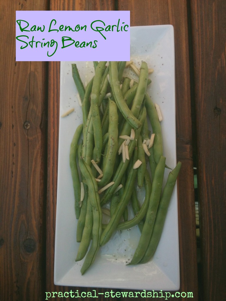 Raw Lemon Garlic String Beans Recipe Practical Stewardship