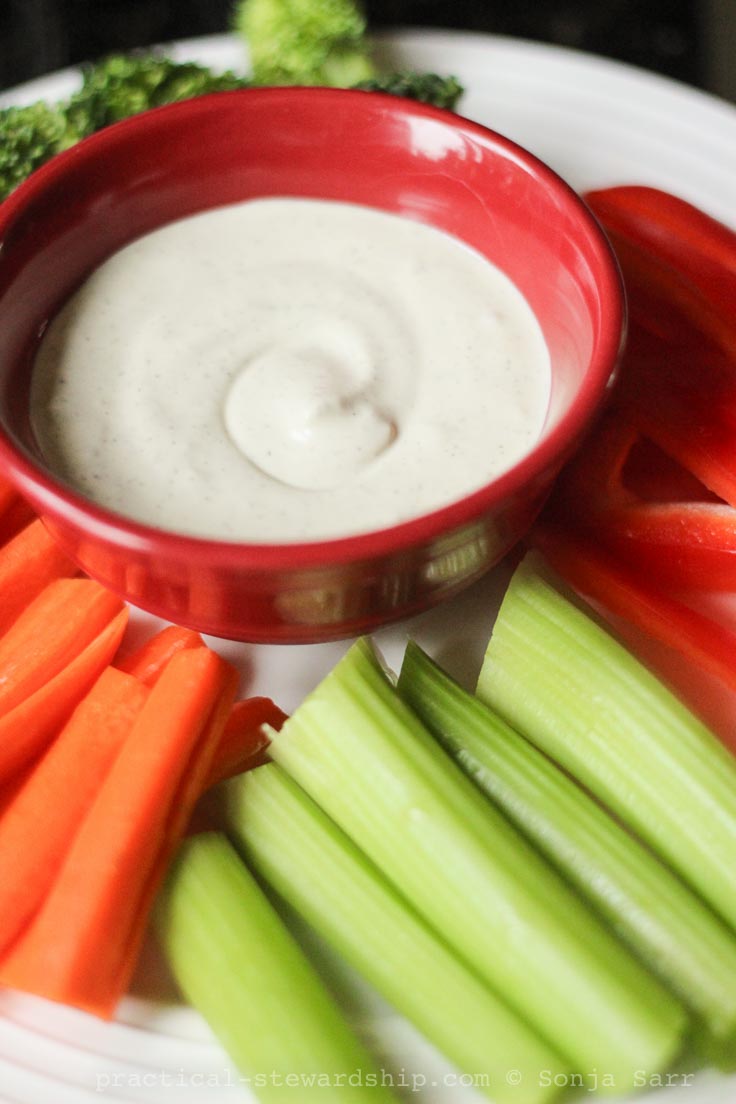 Easy Homemade Ranch Dressing, DairyFree, Vegan Practical Stewardship