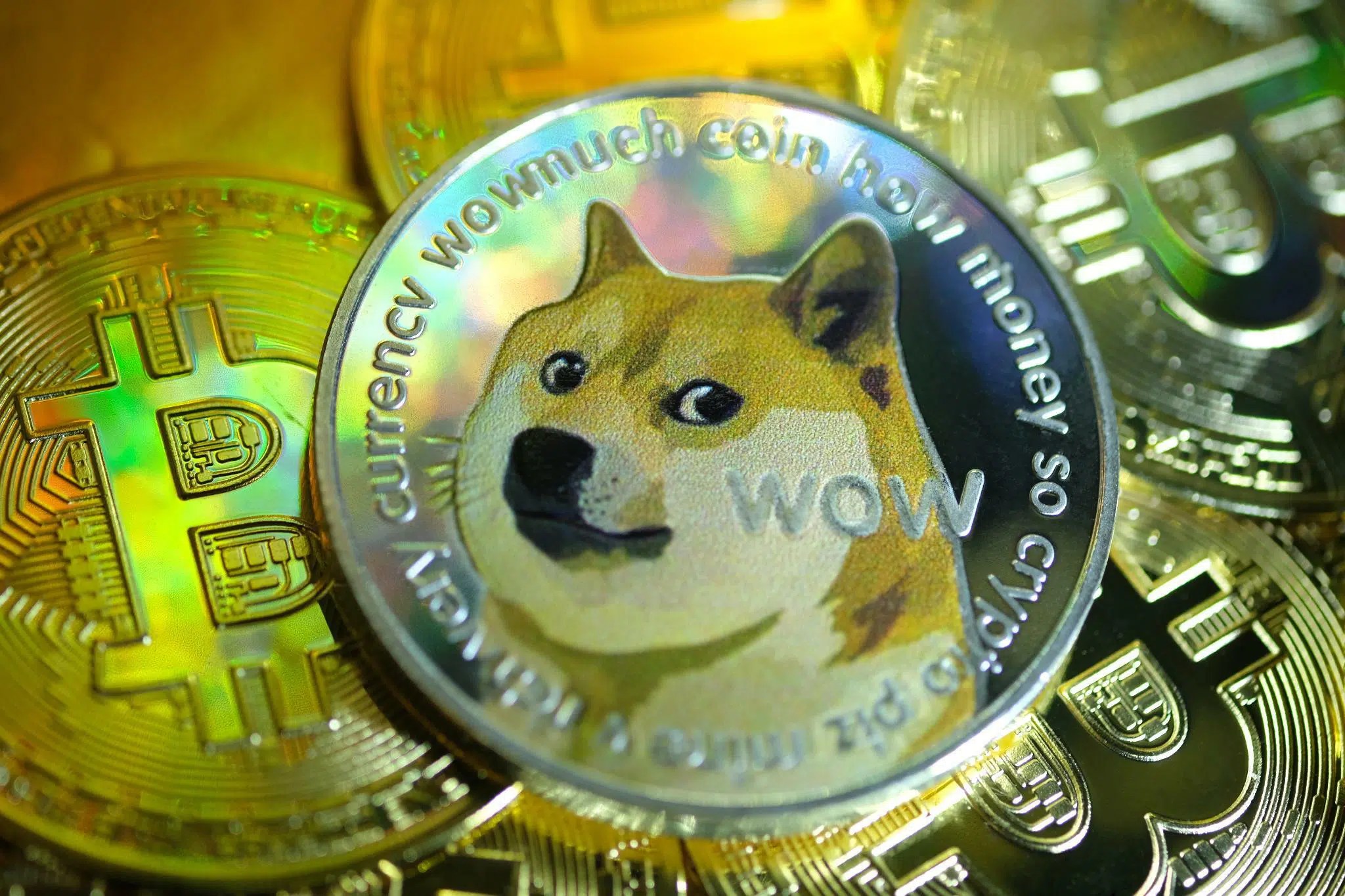 Buy Dogecoin here's how Practical Tips
