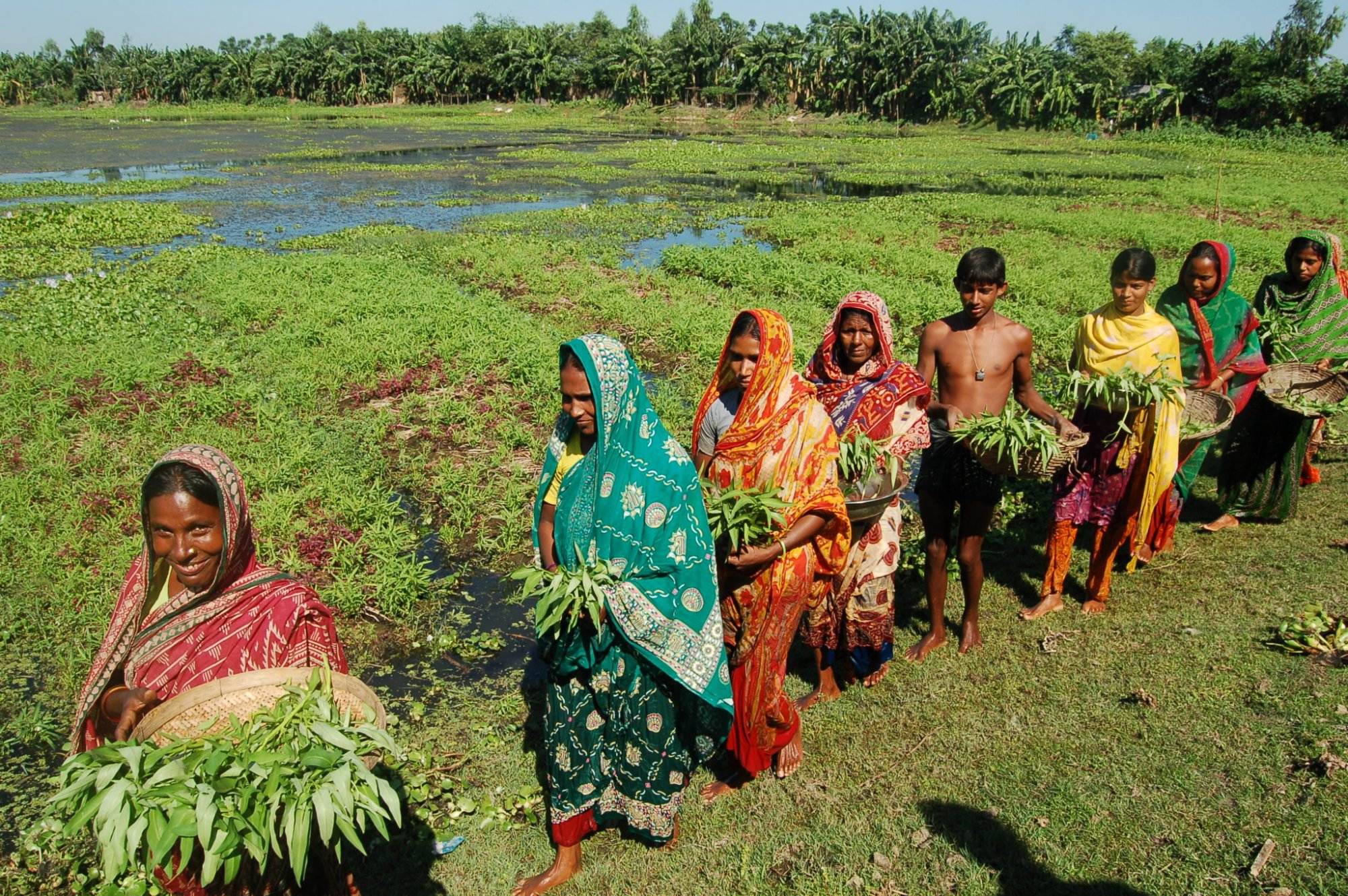 Floating Gardens A transformative, accessible approach to agriculture