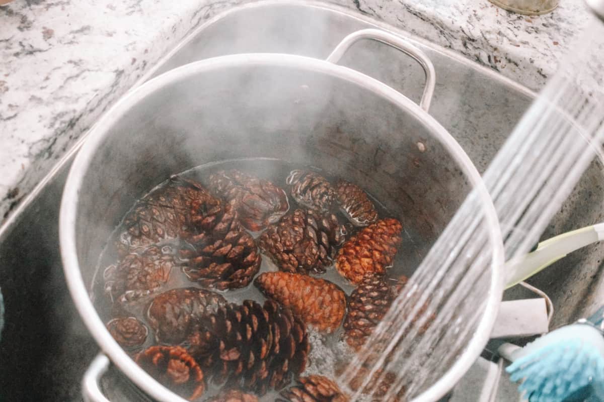 How to Dye with Pine Cones PRACTICAL & PRETTY