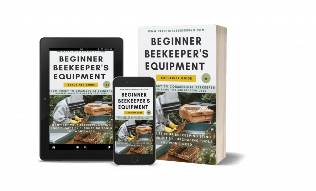 Beginner Beekeepers Equipment Best Beekeeping kit list
