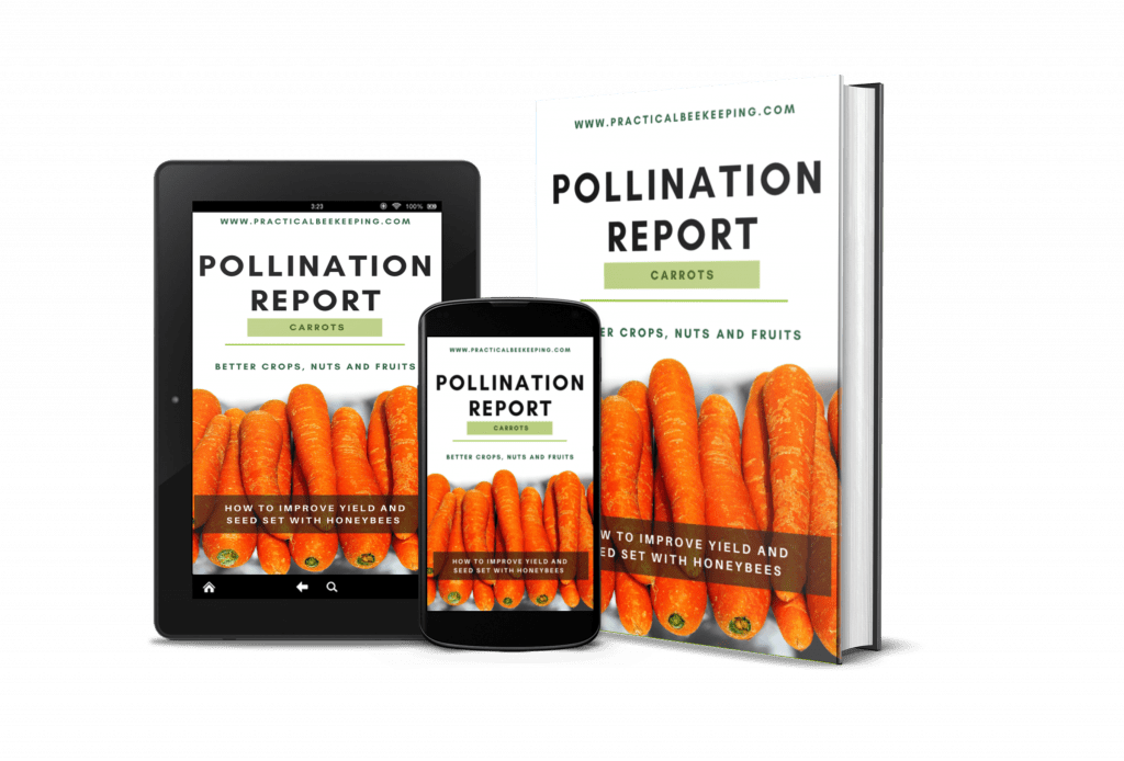 Carrot Pollination bundle Best Practical Beekeeping