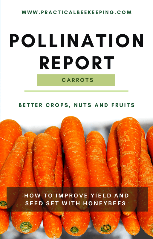 Carrot Pollination bundle Best Practical Beekeeping