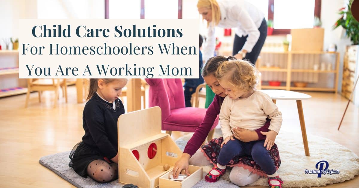 Child Care For Homeschoolers 27 Ideas For Working Moms