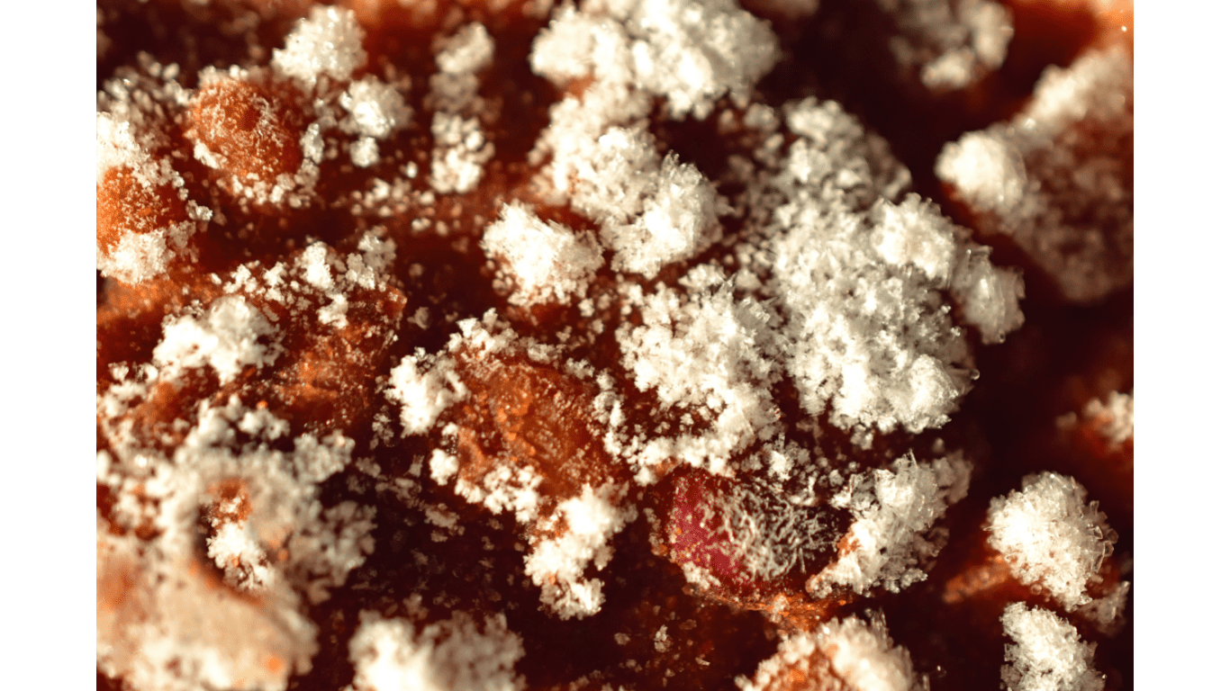 Can You Refreeze Spaghetti Sauce? Practical Cooks