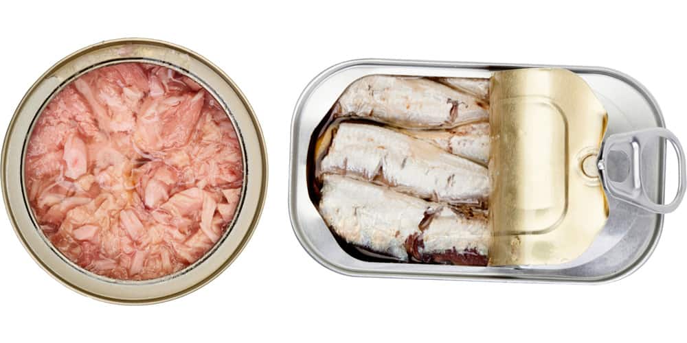 Can You Marinate Frozen Fish? (And How?) Practical Cooks