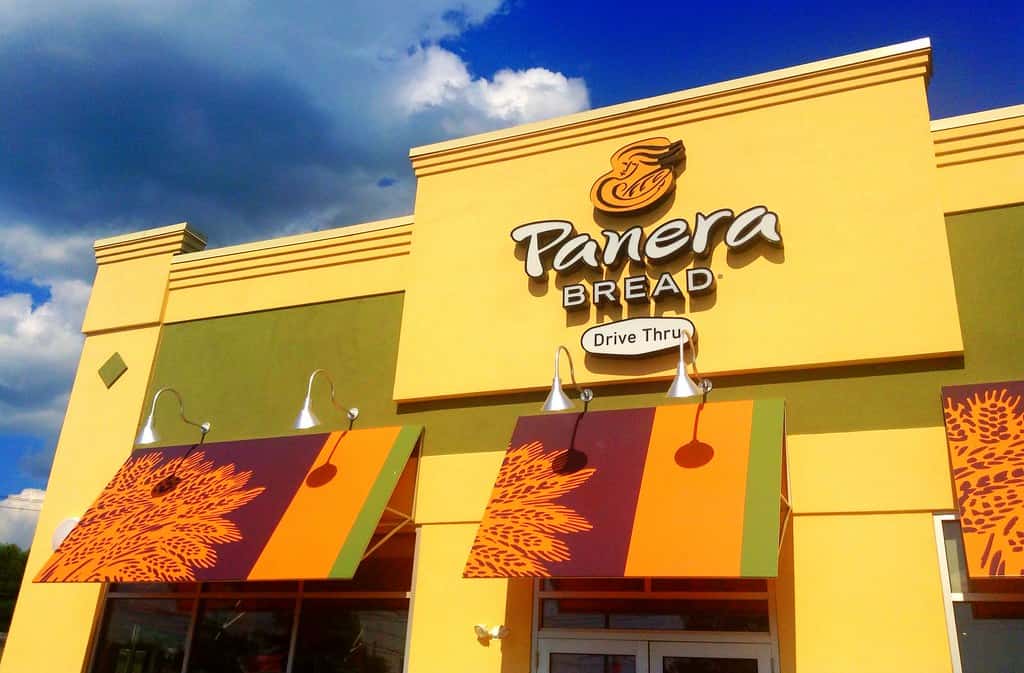 Panera Bowl vs Cup How Are They Different? Practical Cooks