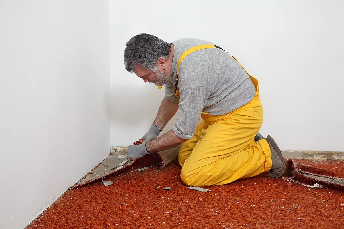 How to Remove Carpet from Under Walls A StepbyStep Guide Practial