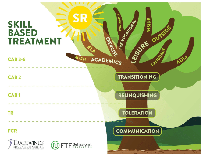 Skillbased Treatment A Visual Practical Functional Assessment