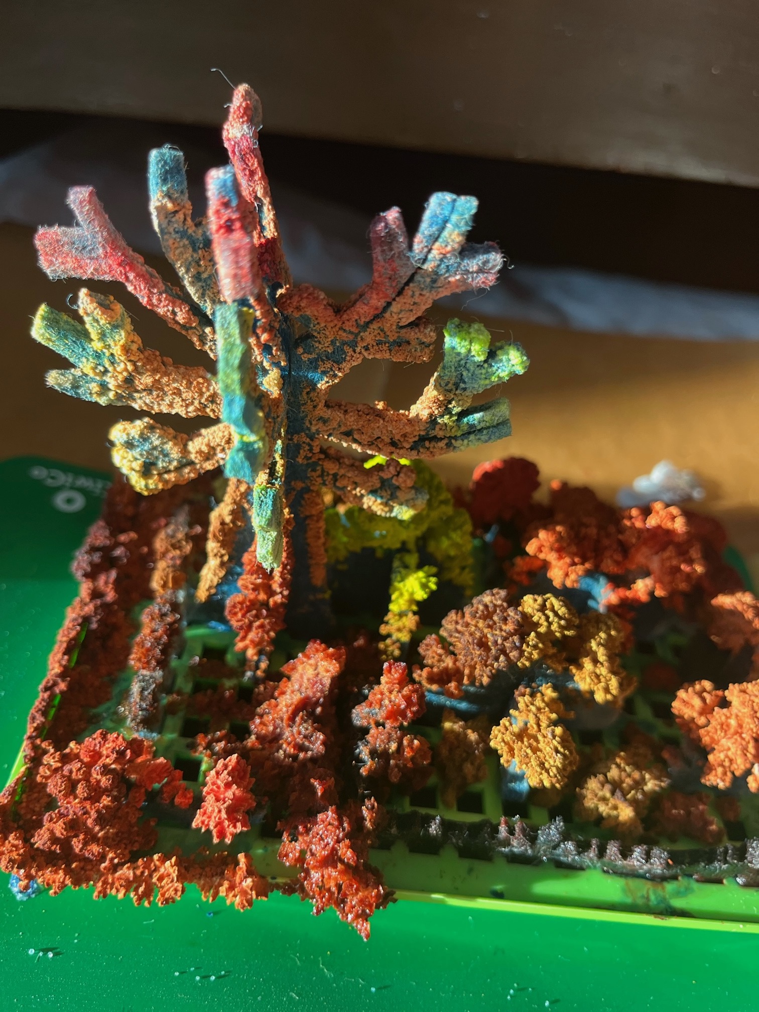 Crystal Chemistry Garden Kit Practically Apparent