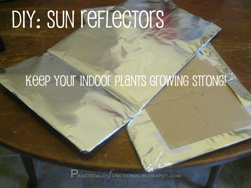 Keep Indoor Plants Strong {Herb Garden Series} Practically Functional