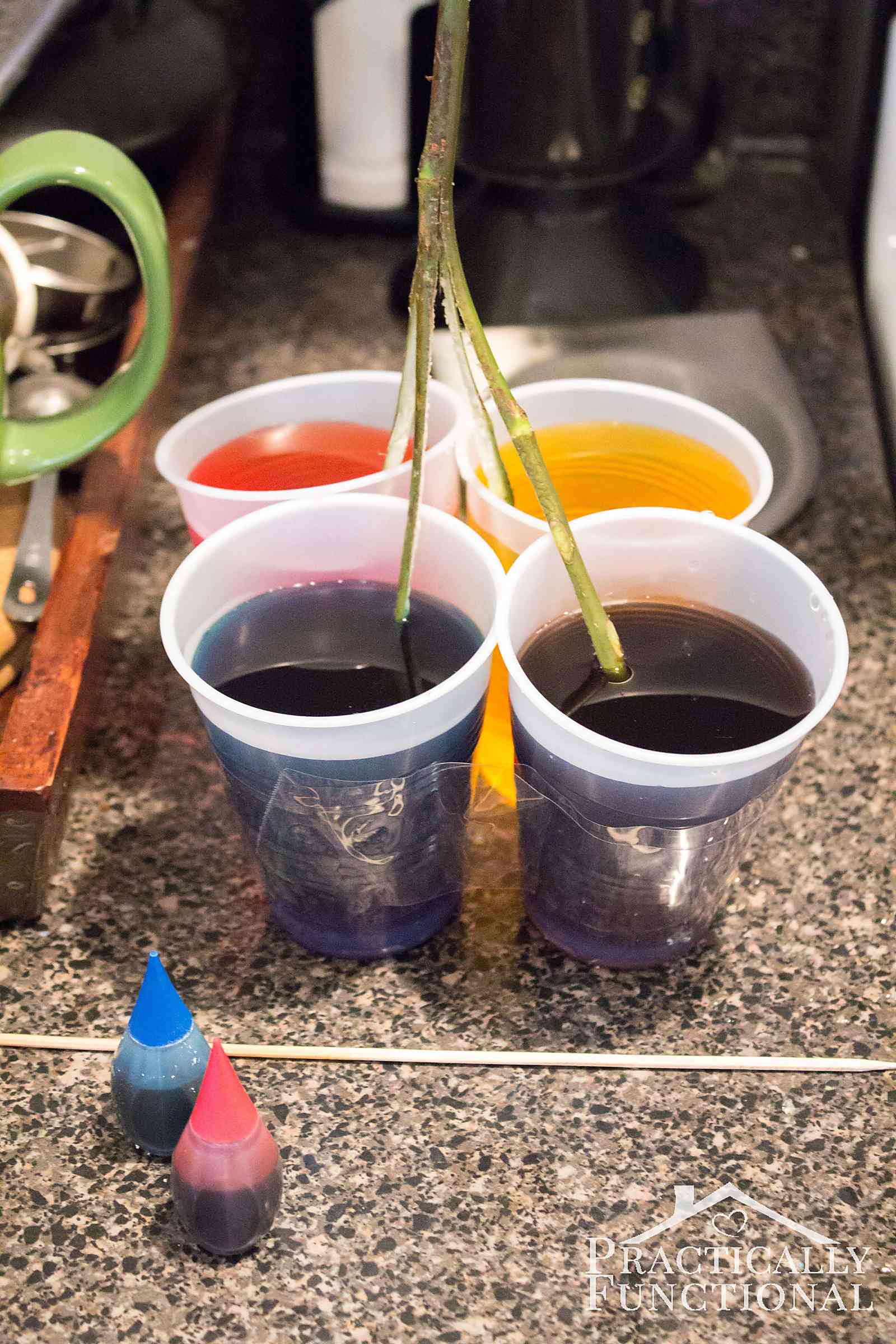 How To Make Blue Roses With Food Coloring at Raymond Lange blog