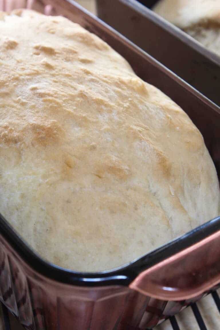 Quick One Hour Bread Recipe Practically Homemade