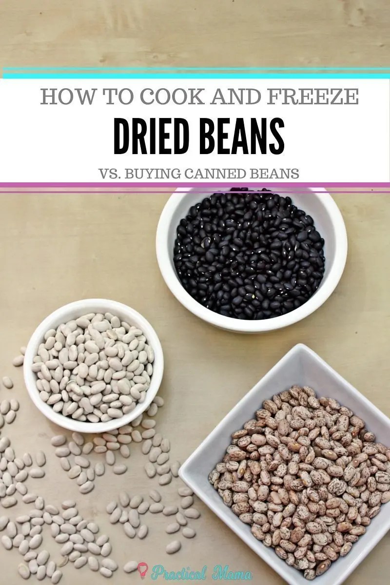How to cook and freeze dried beans in bulk Practical Mama
