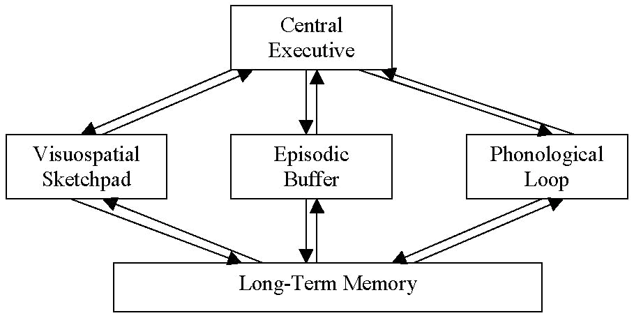 Working Memory (Definition + Examples) - Practical Psychology