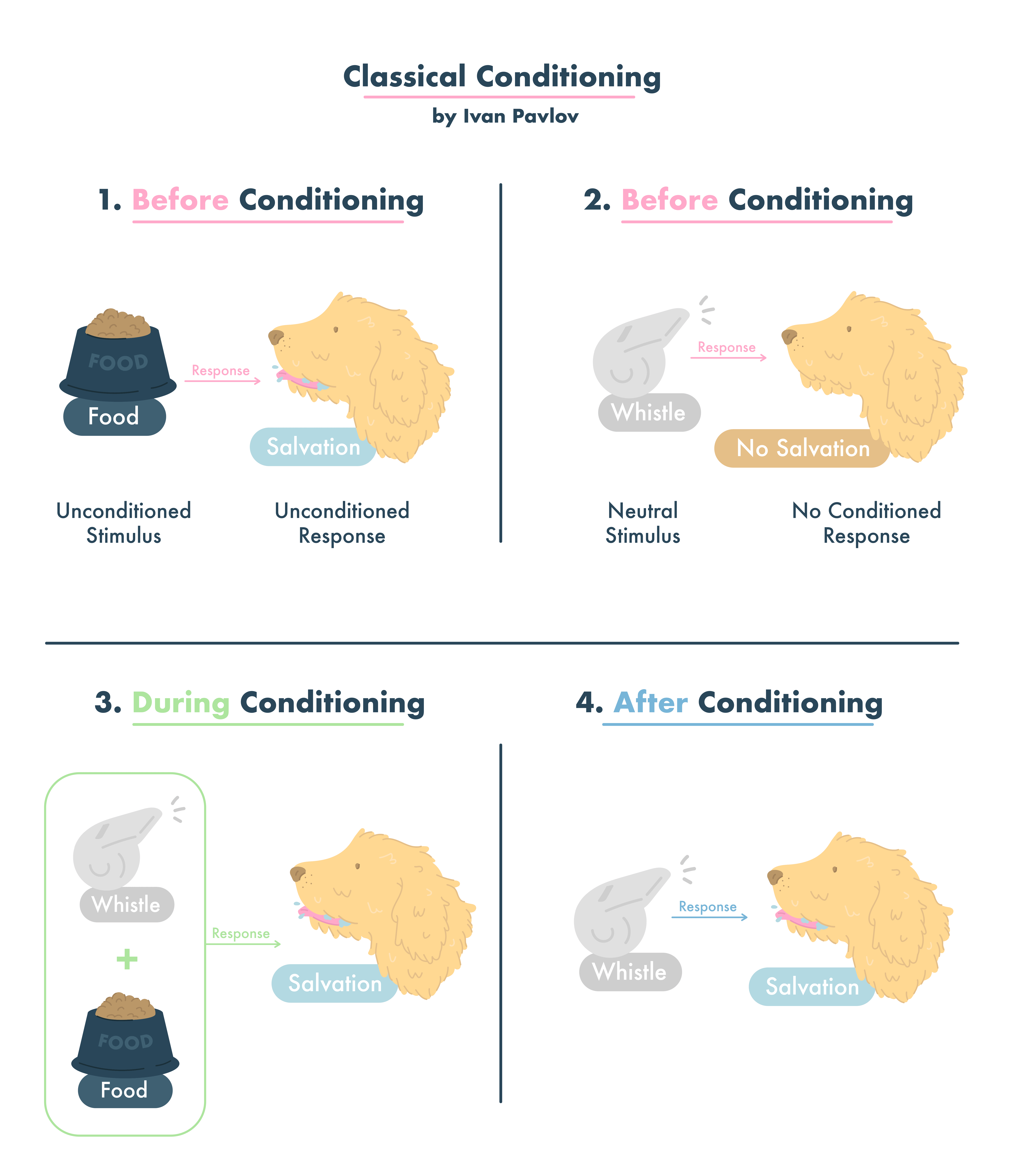 🎉 Real life examples of operant conditioning. 25 Operant Conditioning