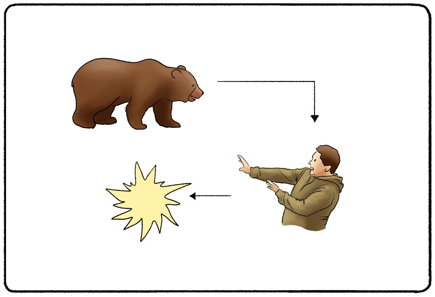 Cannon Bard Theory (Definition + Examples) Practical Psychology