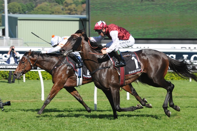A Guide To Horse Race Betting Systems THE PUNT MASTER (Part 1)