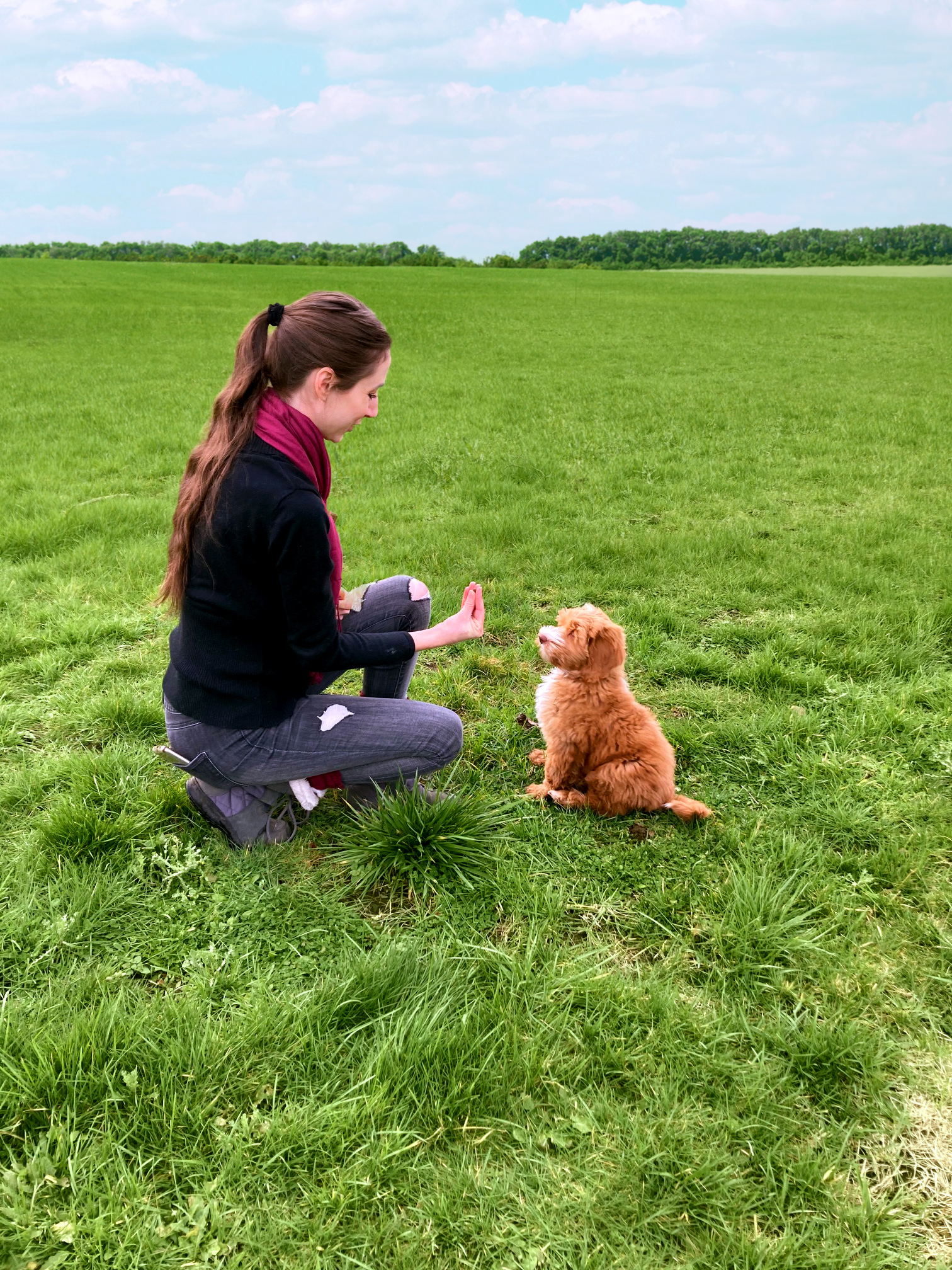 Bootcamp Practical Puppy Training