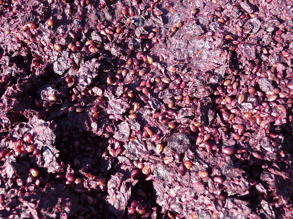 Red Wine Grape Pomace (Seeds)