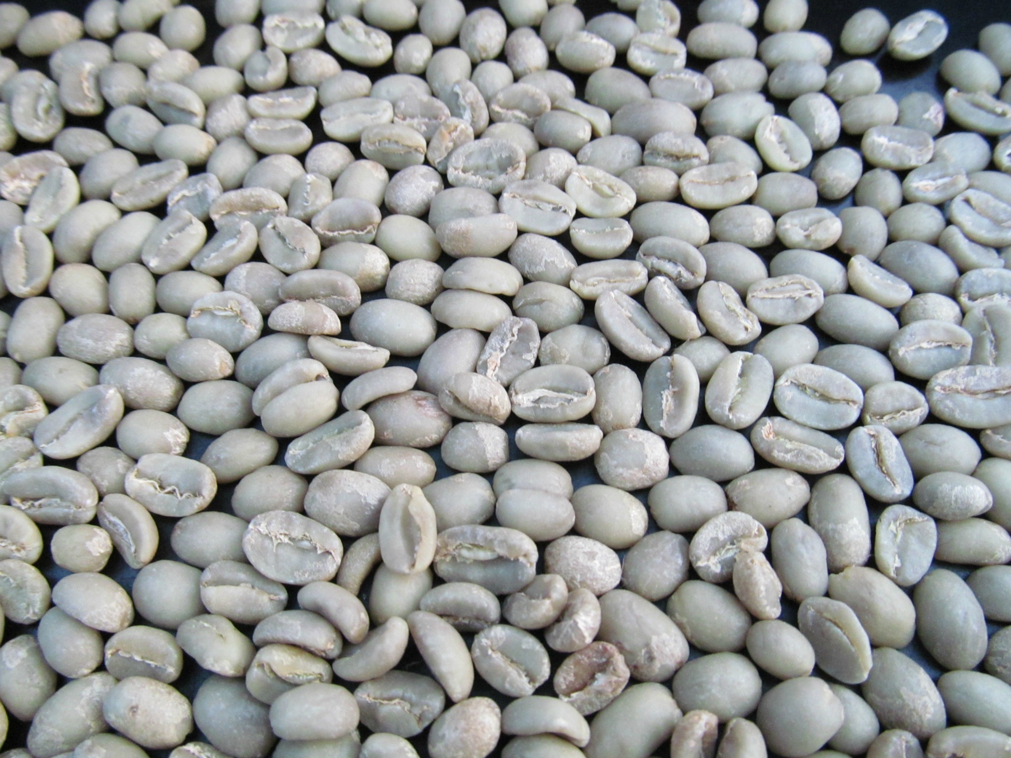 Green Coffee Beans