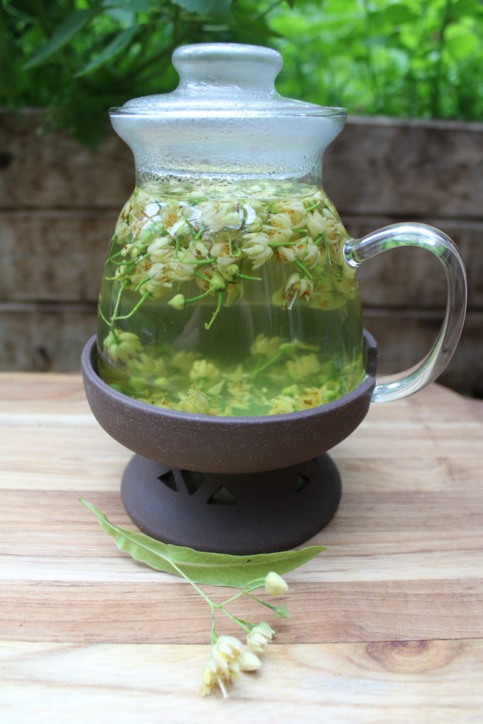Linden Tea Medicinal Benefits