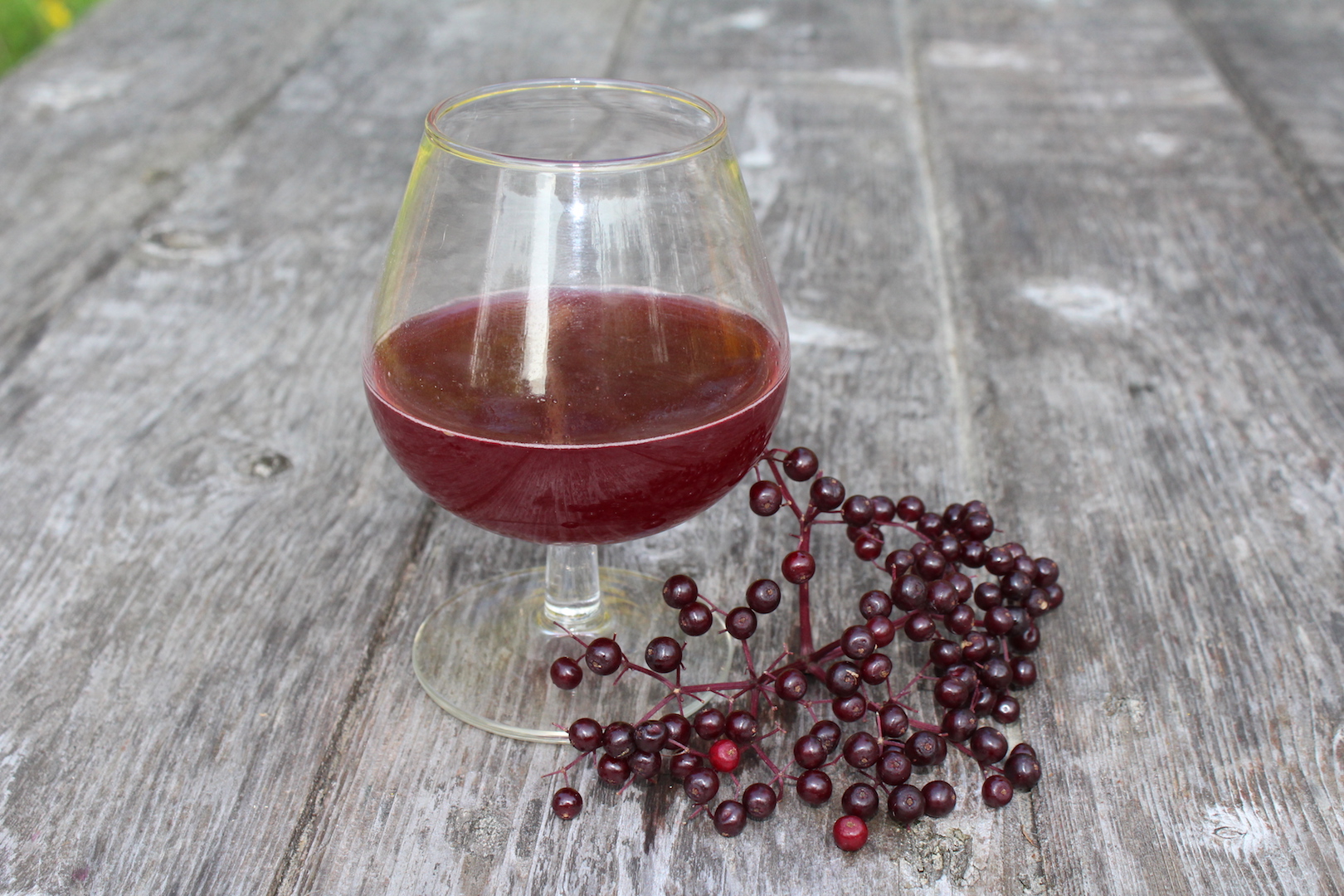 Small Batch Elderberry Mead — Practical Self Reliance