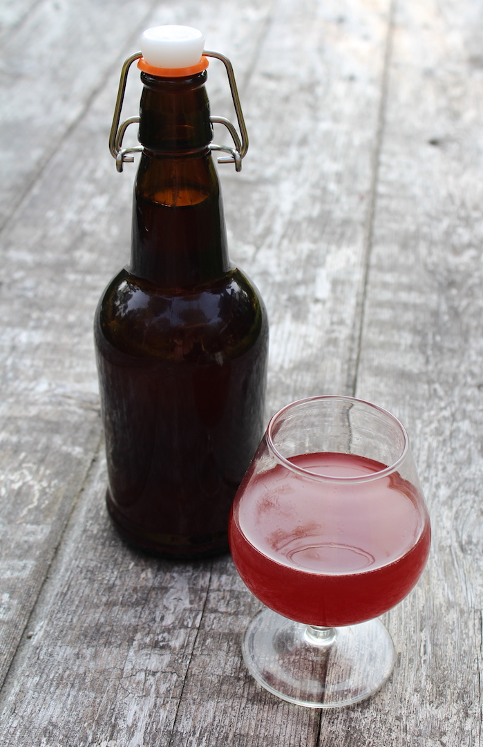 Raspberry Mead Micro Batch Recipe