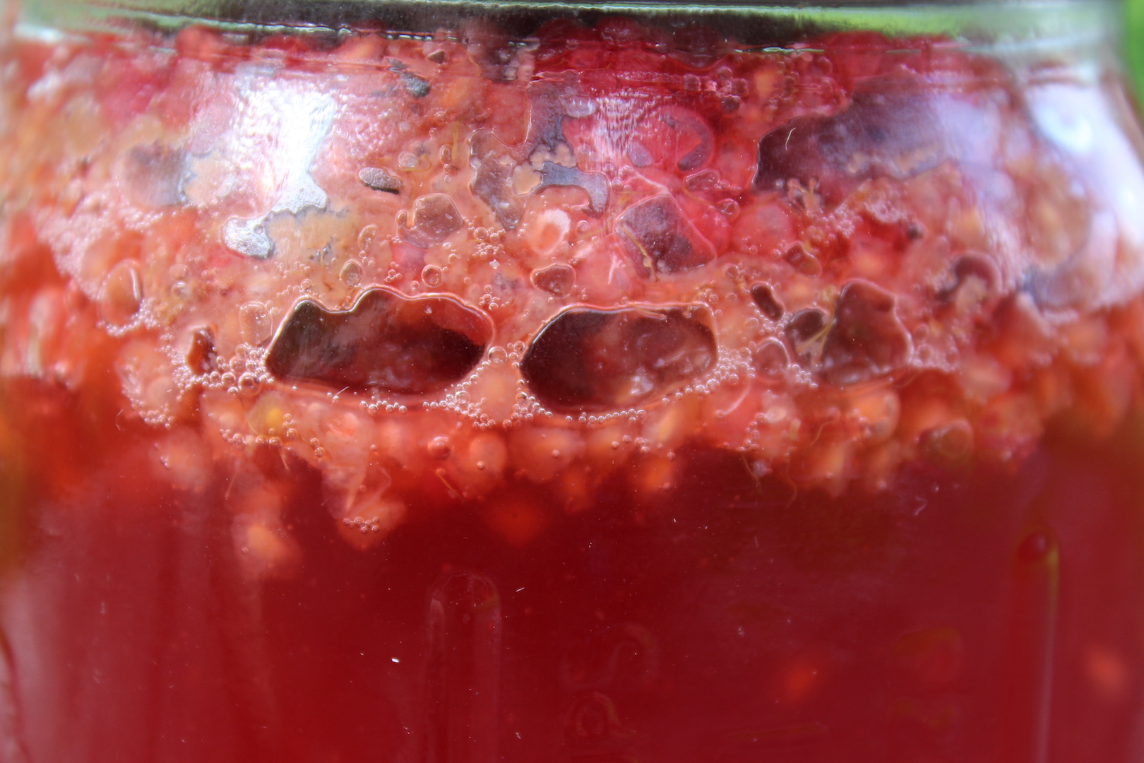 Raspberry Mead – Micro Batch Recipe