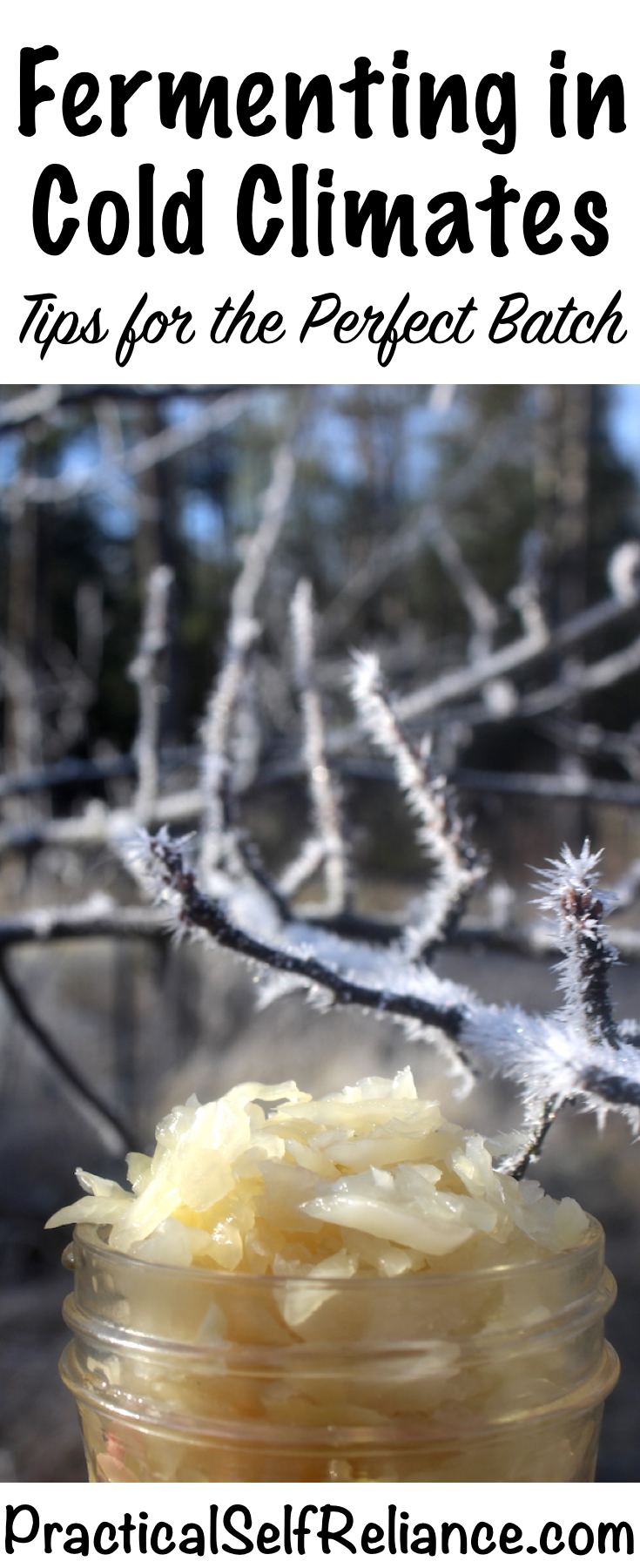 Fermenting in Cold Climates