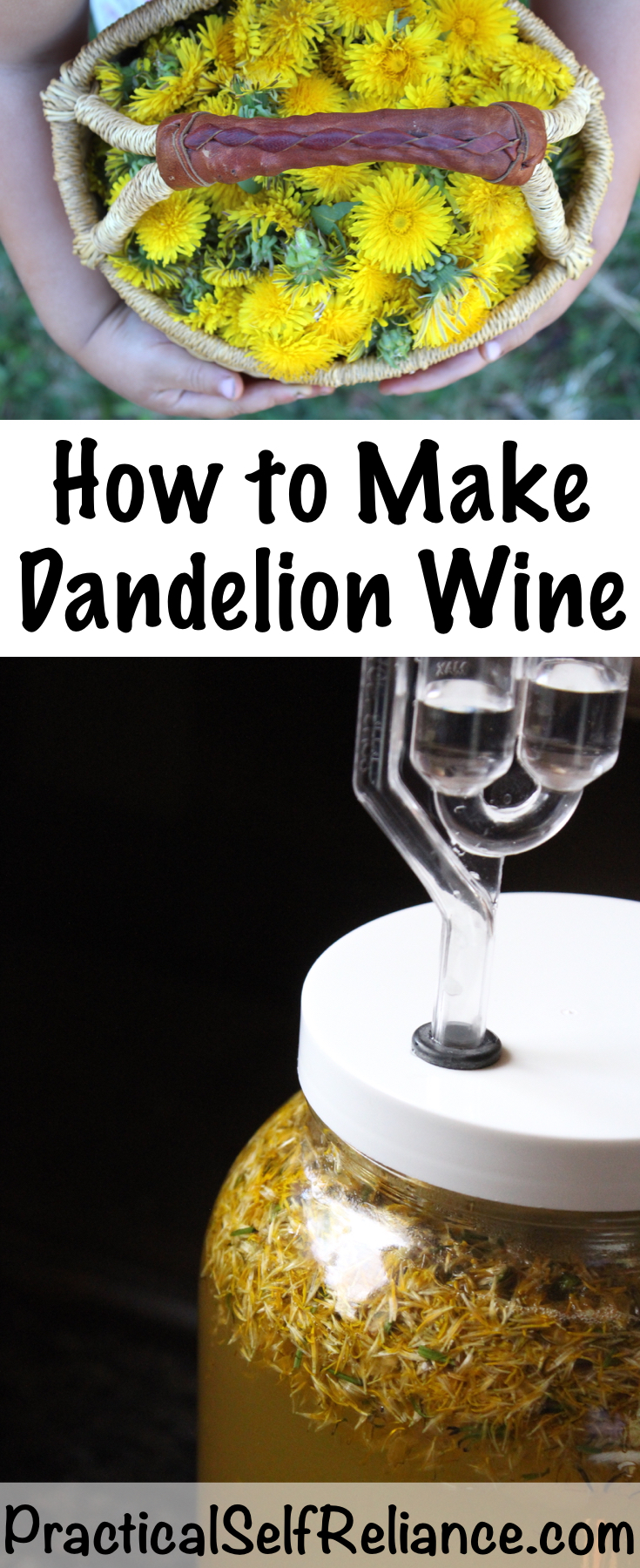 Homemade Dandelion Wine Recipe